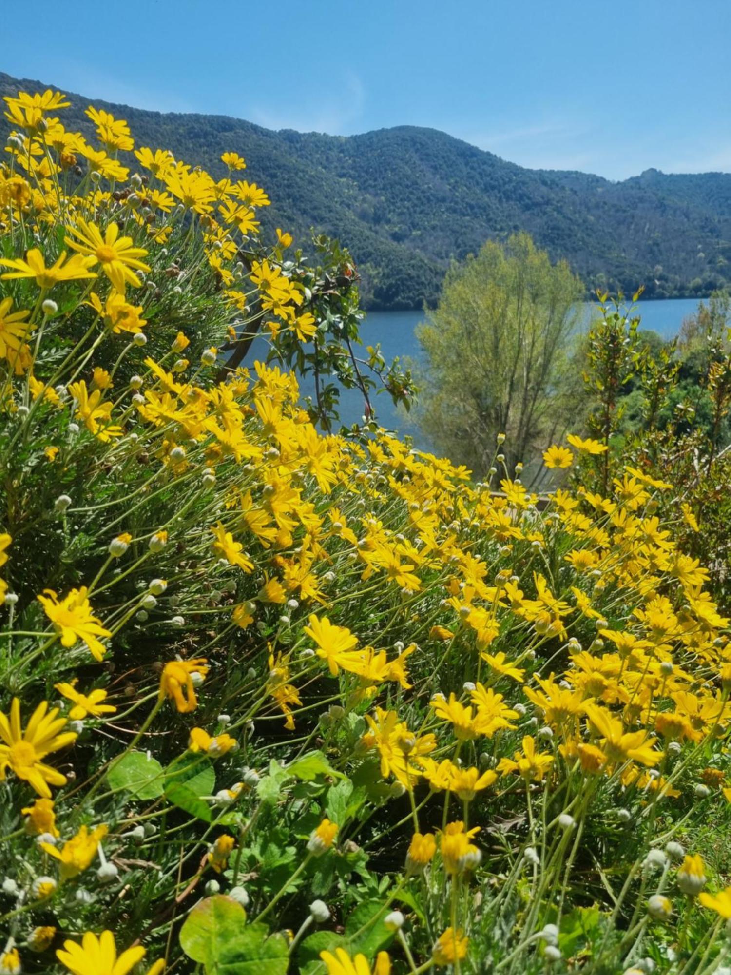 Cote Lac Tolla Экстерьер фото